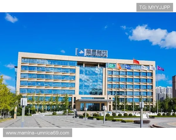 凯发k8国际一触即发，最新优惠活动与注册流程详细指南