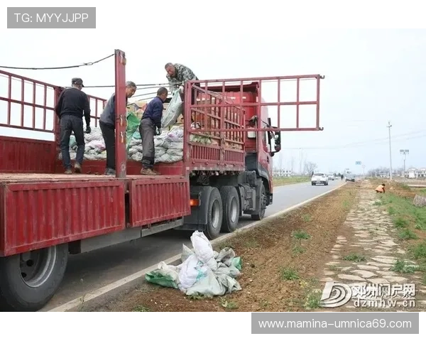 了解K8厅官网最新公告，第一时间掌握平台动态与活动安排
